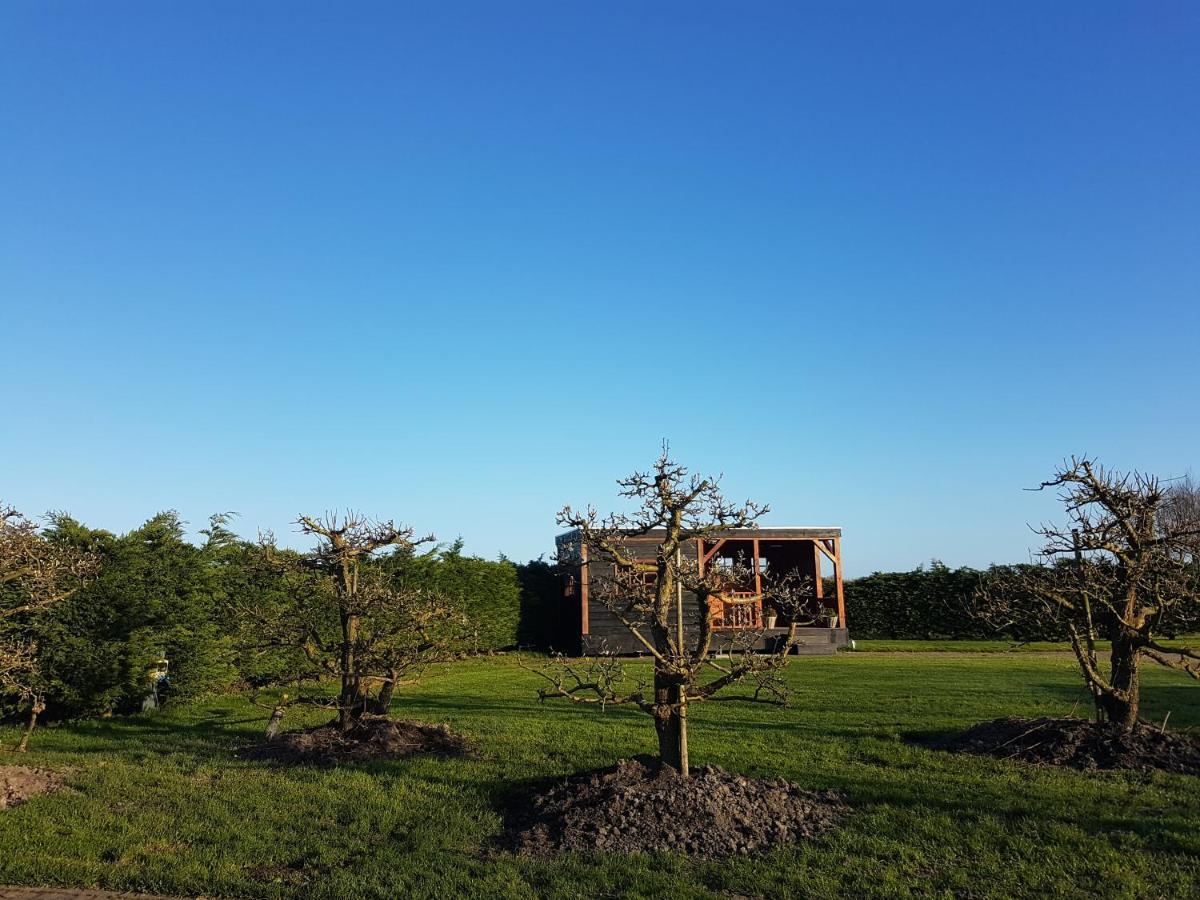 lodge 61 Medemblik Eksteriør billede