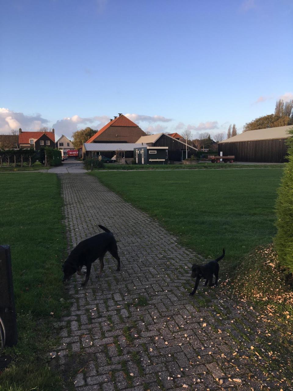 lodge 61 Medemblik Eksteriør billede